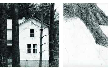 L) Seton Smith, Two Trees Before House Leeds series 2012, 36" x 54” ink jet print on Hahnemuhle paper (R) Kiki Smith, Jewel, 2004 One of set of 3 etchings 14" x 17” Edition of 24